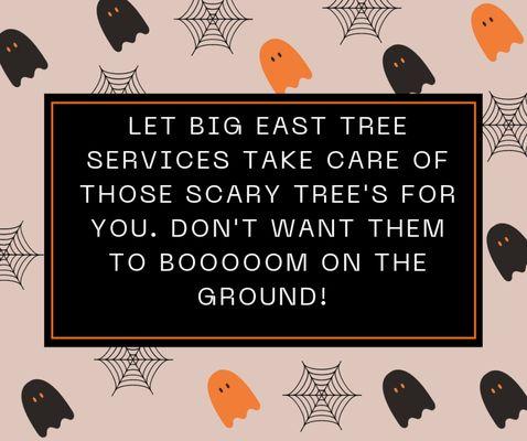 Follow us on Facebook @Big East Tree Services
And Instagram @bigeasttree
Find us on Google and Whatsapp