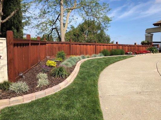 New sod, border and plants.