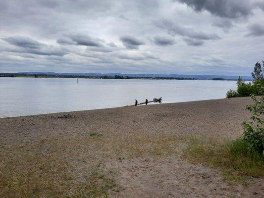 Beach area