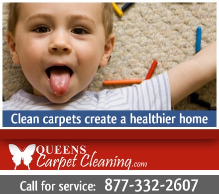 Hippo Carpet Cleaning of Queens