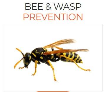 Bee & Wasp Prevention Services