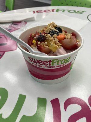 Frozen Yogurt