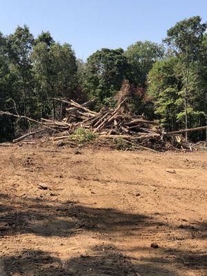 Land cleared for a home site