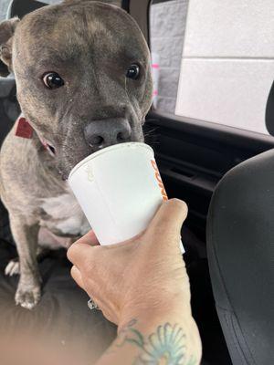 Mando loves pup cups!