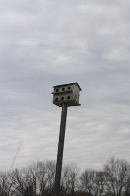 Bird house