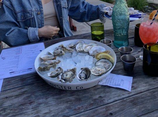 Oysters