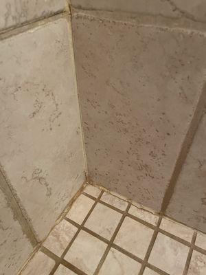 Mold and mildew. Unprofessional tile work