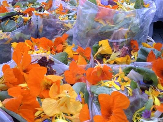 Edible Flower Salad by BJMartinphotography.com