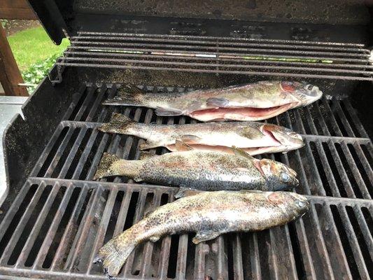 Grilling the catch.