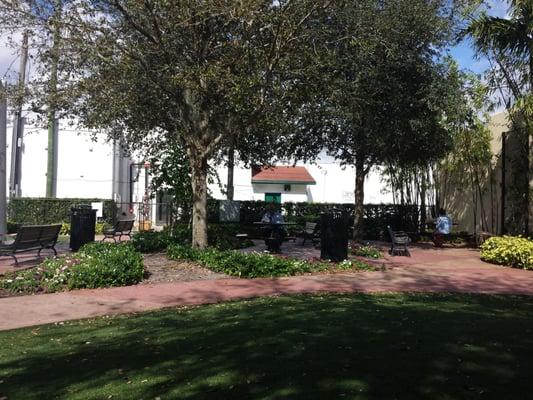 Shaded trees with picnic tables and benches