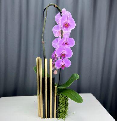 Artistic Orchid Planter in Gaithersburg Maryland