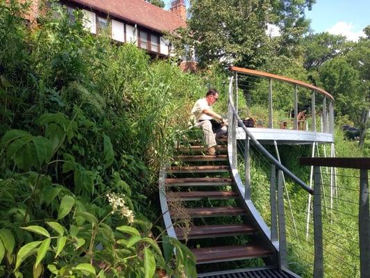 All native, 15' tall Living Wall, with aluminum, ipe, and fiberglass overlook deck