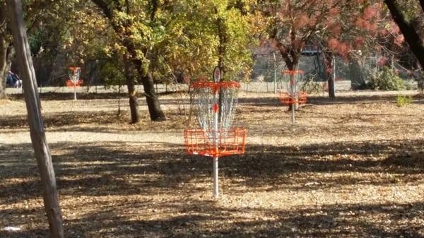 Frisbee golf!