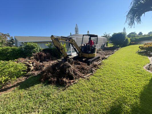 Tree Extraction