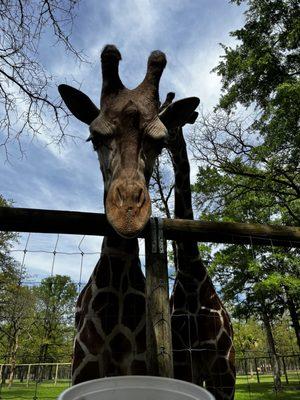 Eudora Wildlife Safari Park