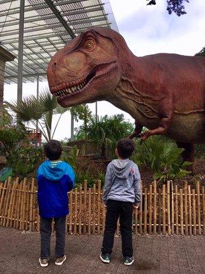 Field Trip to the California Academy of Science.