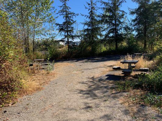 Pathway past some picnic tables.