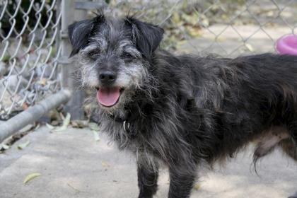 Rueben loves Four Paws Animal Clinic in Seaford