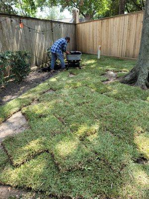 Need sod installation?  We can help.