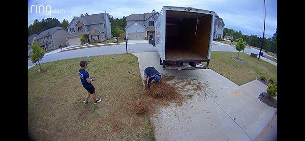 West Cobb Pine Straw