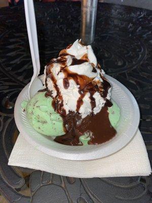 Mint chocolate chip sundae, $7