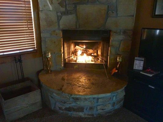 Wood burning fireplace