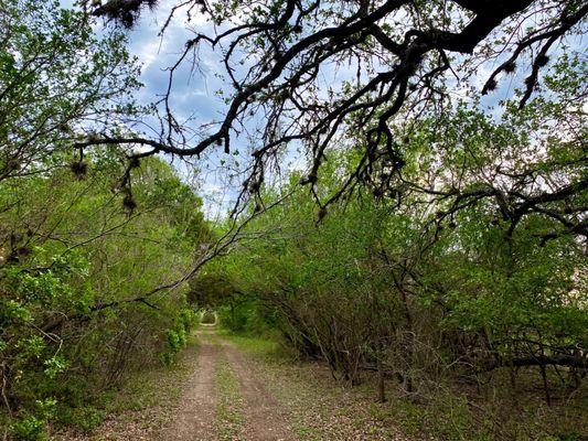 Views from the trails