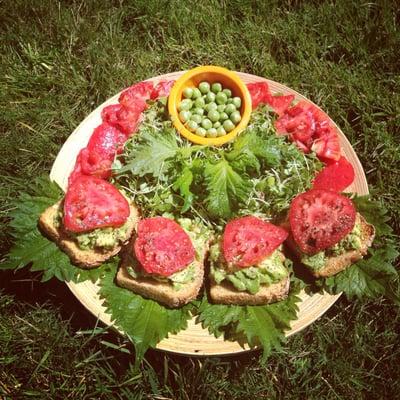 Homemade AST (avocado shiso tomato) sandwiches with Grindstone's gluten free quinoa/millet sprouted seed bread and a fresh salad