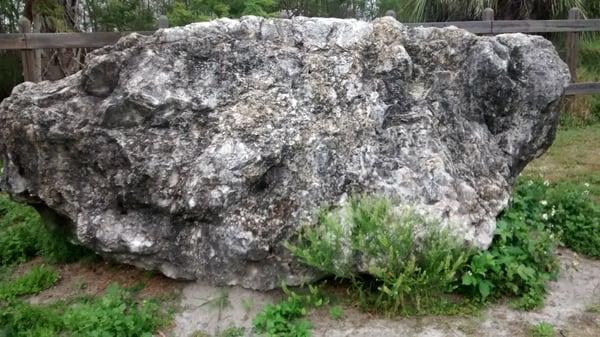 The park has sizable rocks along the path. I thinl this one might be the largest.