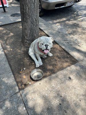 Statue of the eponymous pup!