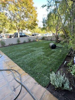 Sod installation