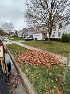 Leaf cleanup