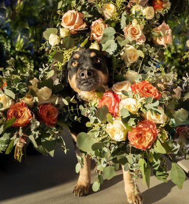 Full Garden Floral