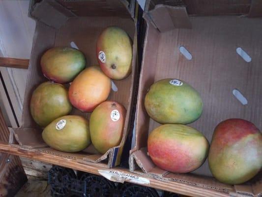 Mango $2 each