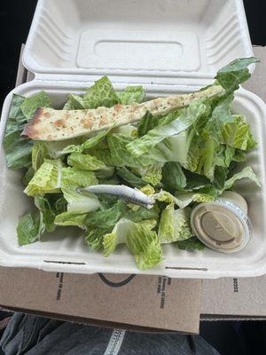 One single anchovy for my Caesar salad? $6+ for a bed of lettuce. We won't be ordering any food again. What a disappointment.