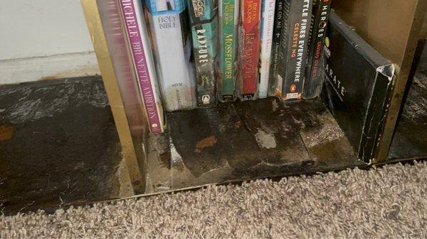 Mold on bookshelves.