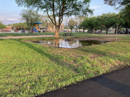 Unintentionally pond at another volleyball court