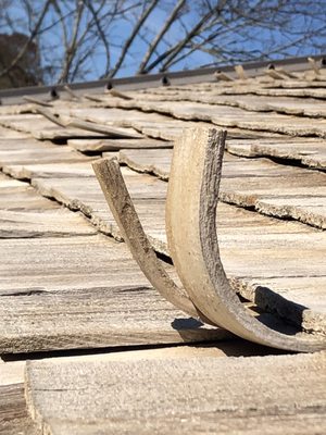 Shingles curling in dramatic fashion prompt a premature replacement of this cedar roof.