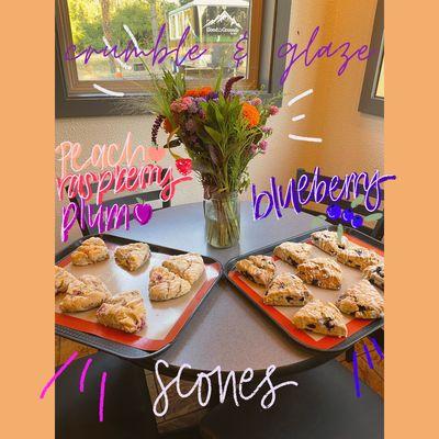 Scones and more scones!