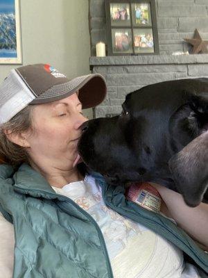 Dual snoot boop and kiss. So lucky.