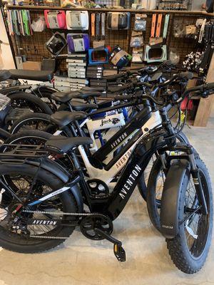 E bikes to test, rent, and buy!