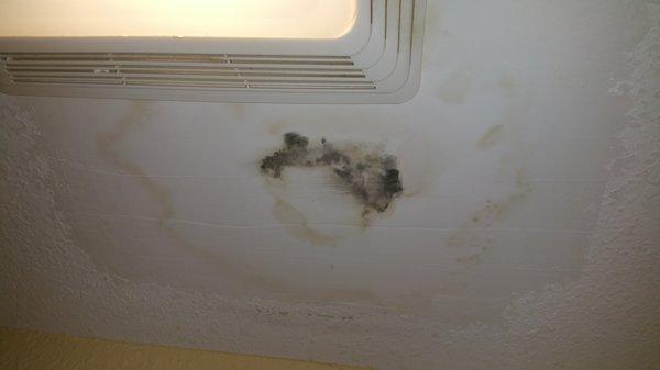 Mold growing on the bathroom ceiling.