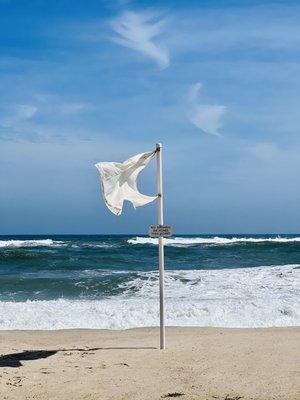 Lifeguarded Swimming Area