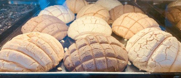 The bakery case at La Asuncion. Photo courtesy: Isabel Castro-Melendez.