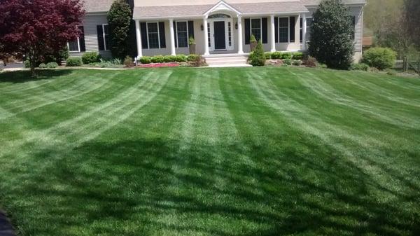 Diamond Cut Landscaping LLC