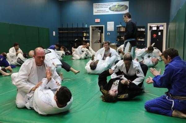 Revolution BJJ