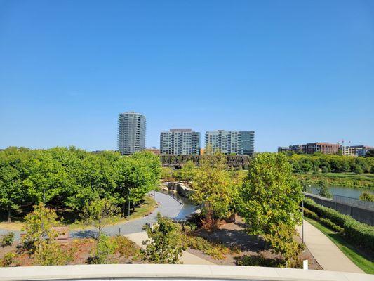 View of Memorial Grove from the rooftop