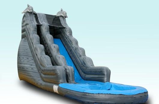 Dolphin Encounter Waterslide Rental.