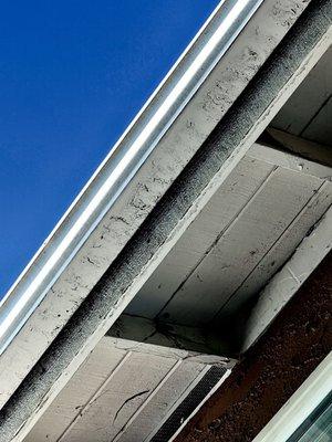 Exterior of rain gutters are very muddy, as is the wood trim below.