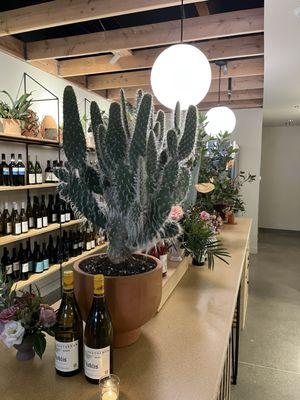 Plants and wine!